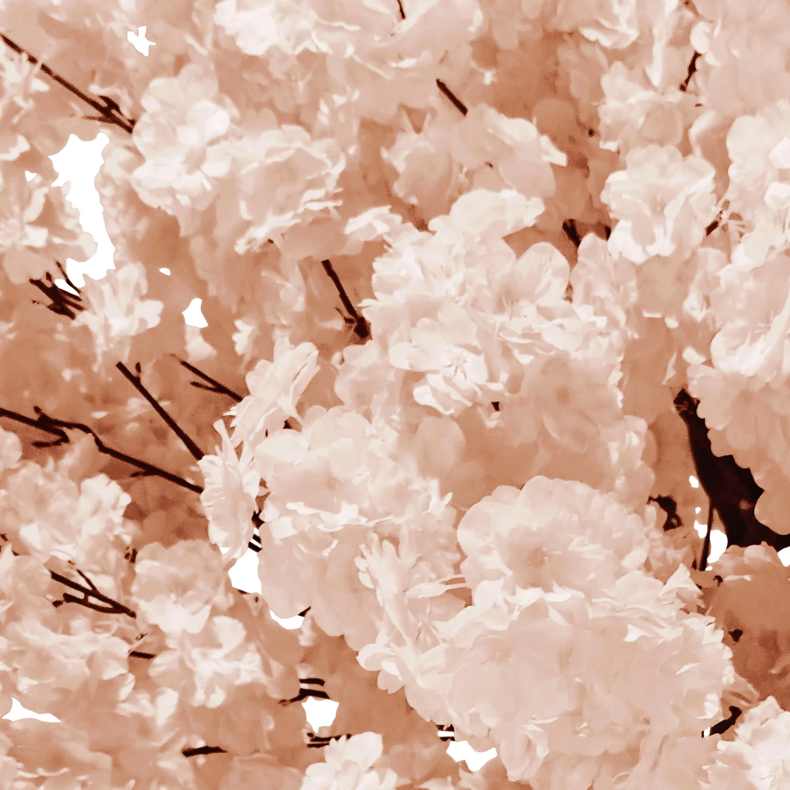 5ft Cherry Blossom Tree Backdrop Frame Stand - Blush - Image 4