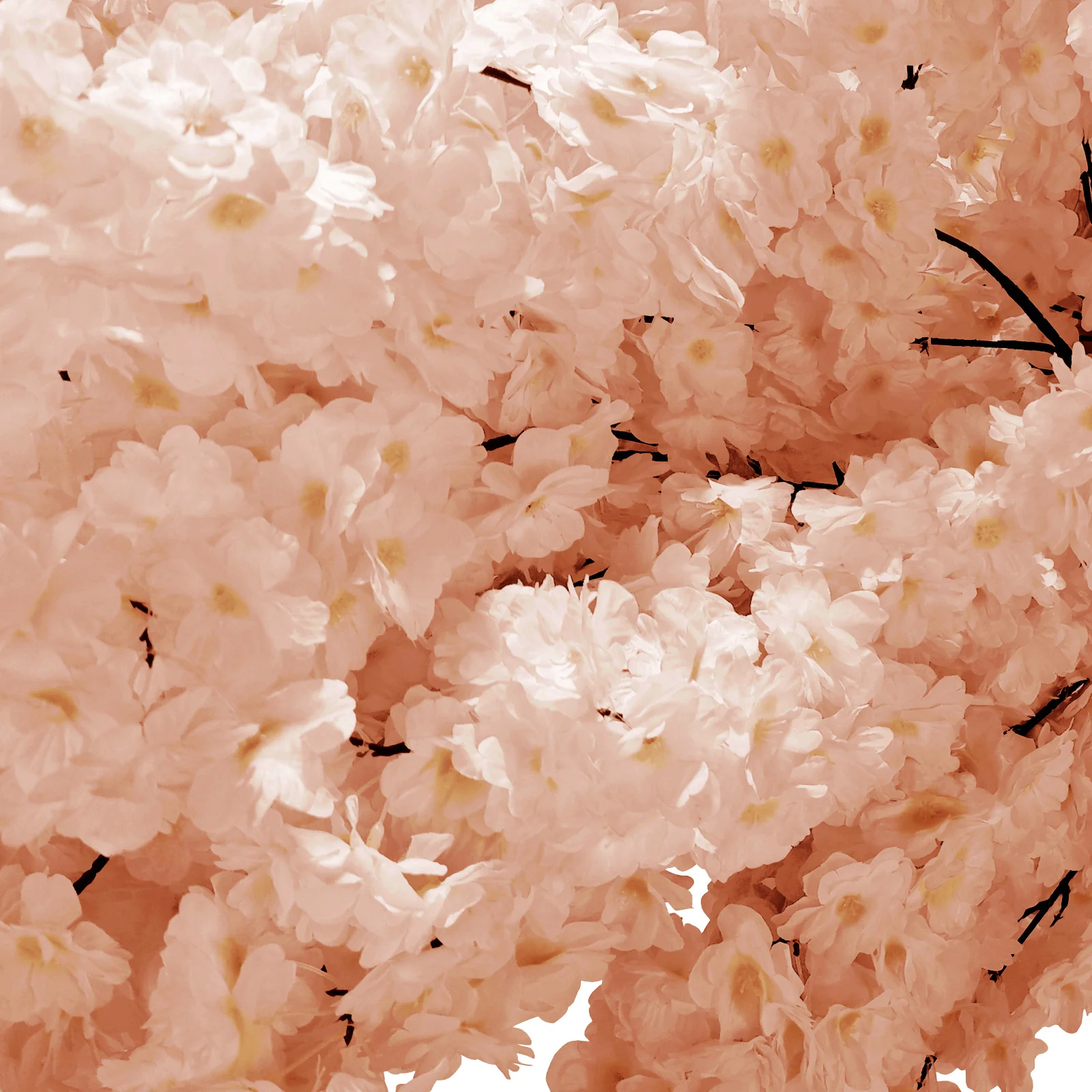 9.5ft Cherry Blossom Tree Backdrop Frame Stand - Blush - Image 8