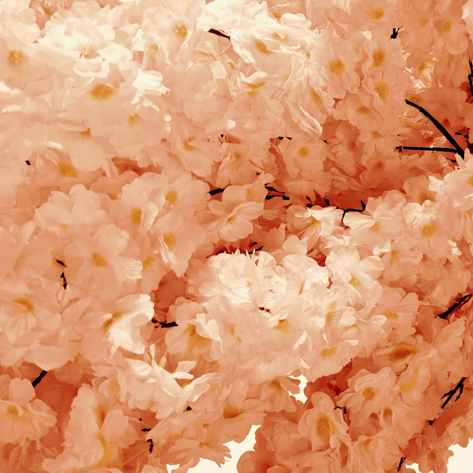 9.5ft Cherry Blossom Tree Backdrop Frame Stand - Peach - Image 6