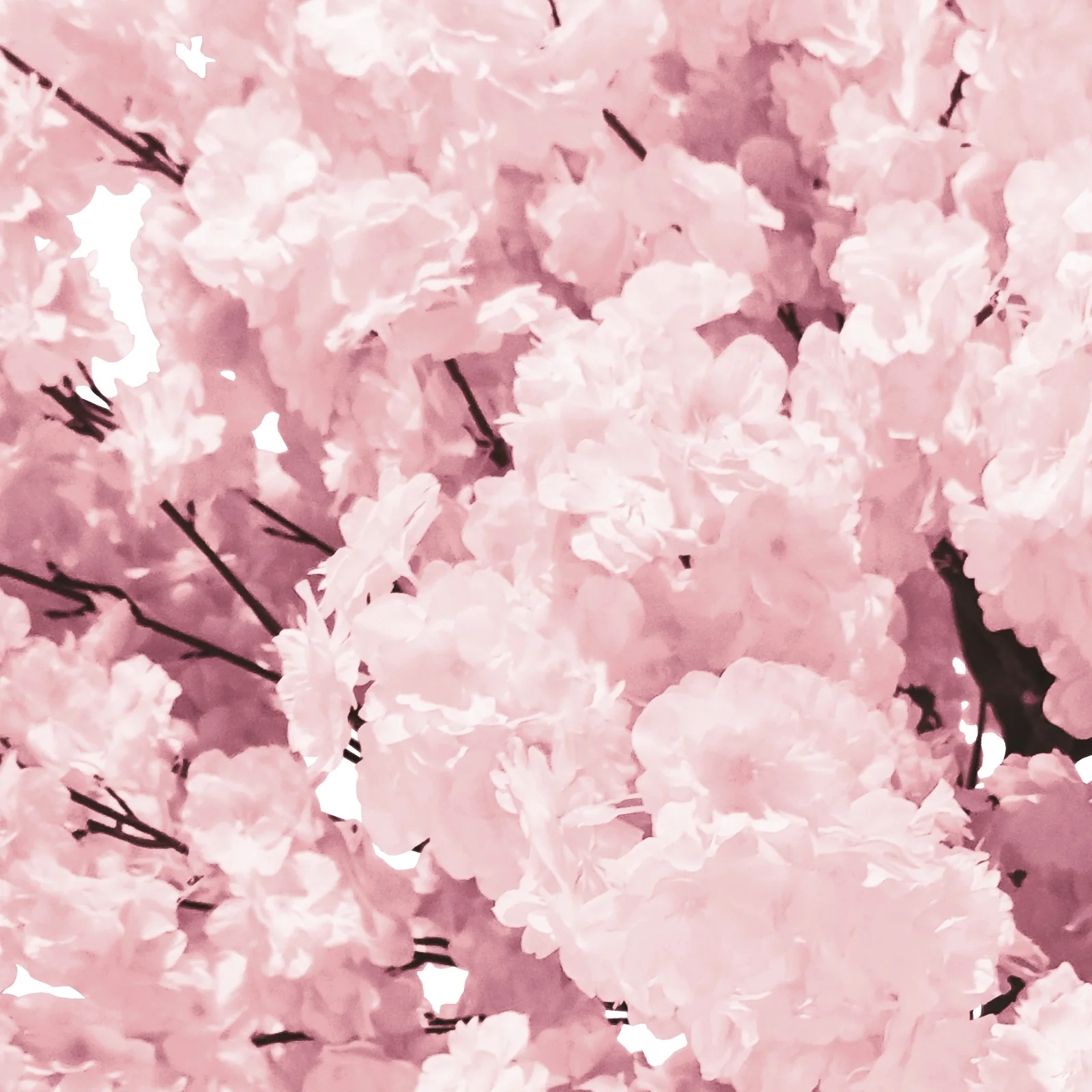5ft Cherry Blossom Tree Backdrop Frame Stand - Pink - Image 4