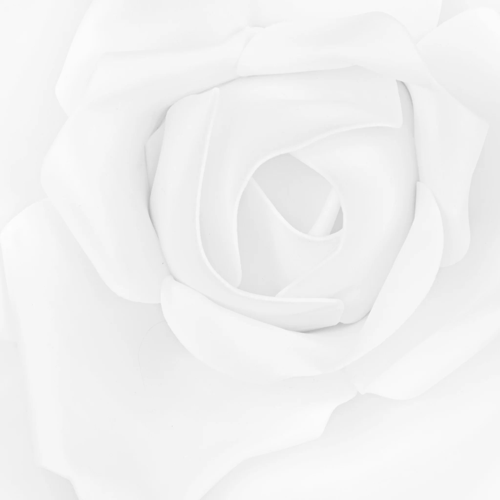 Large Foam Rose Wall  Decor 30 cm - White - Image 3