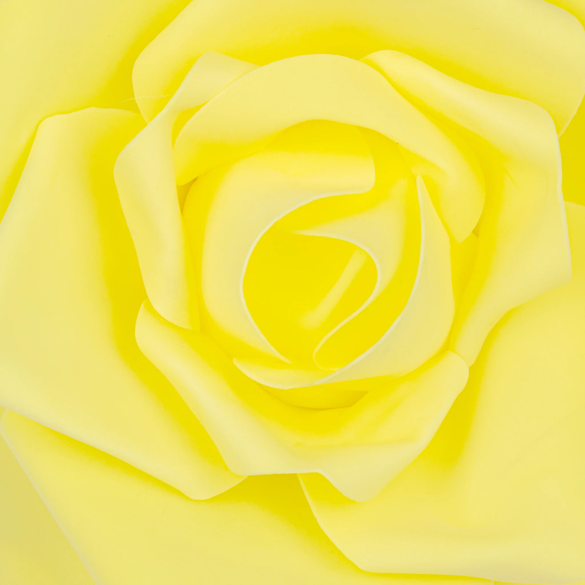 Large Foam Rose Wall  Decor 30 cm - Yellow - Image 3
