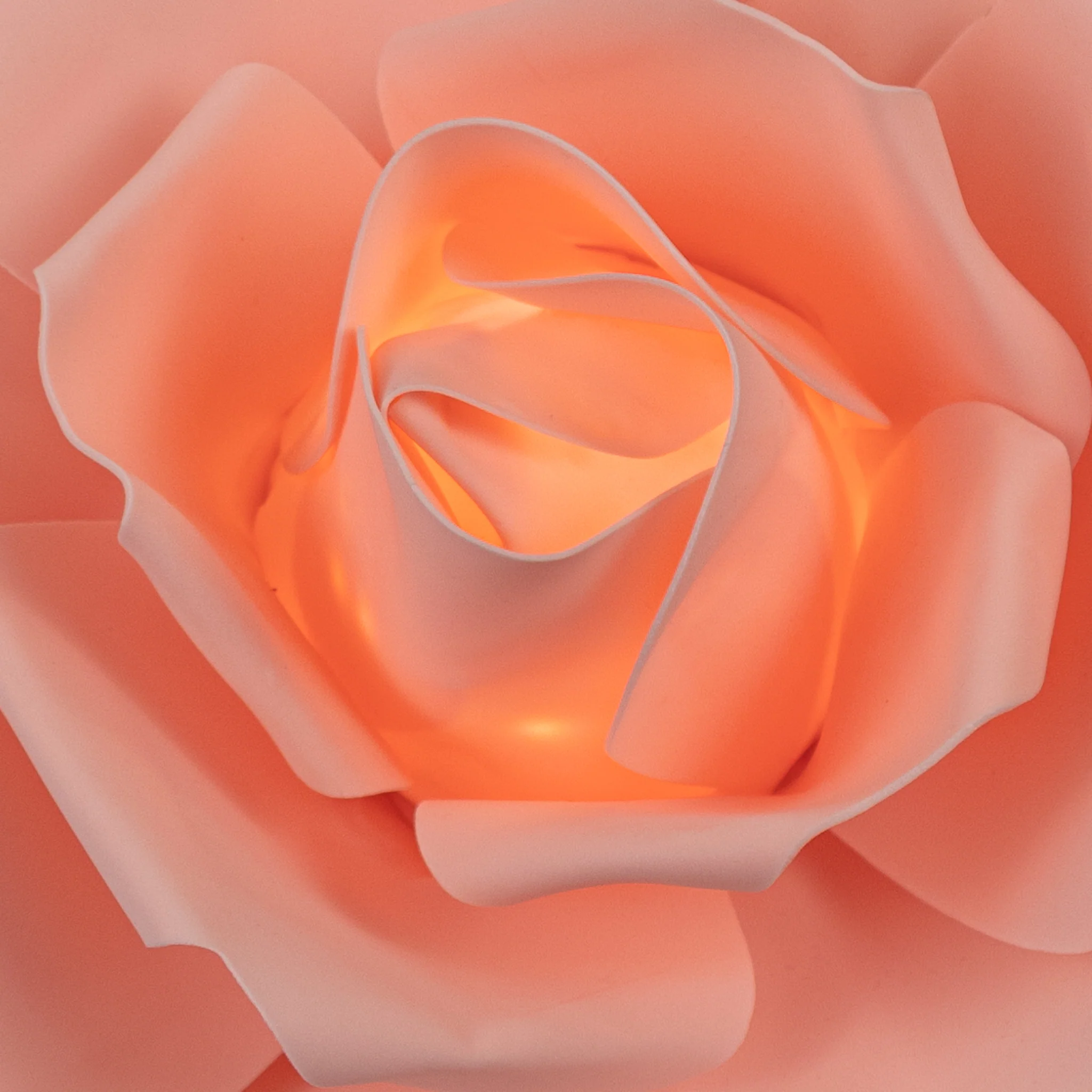 LED Lighted Large Foam Rose Wall  Decor 30 cm - Blush - Image 2