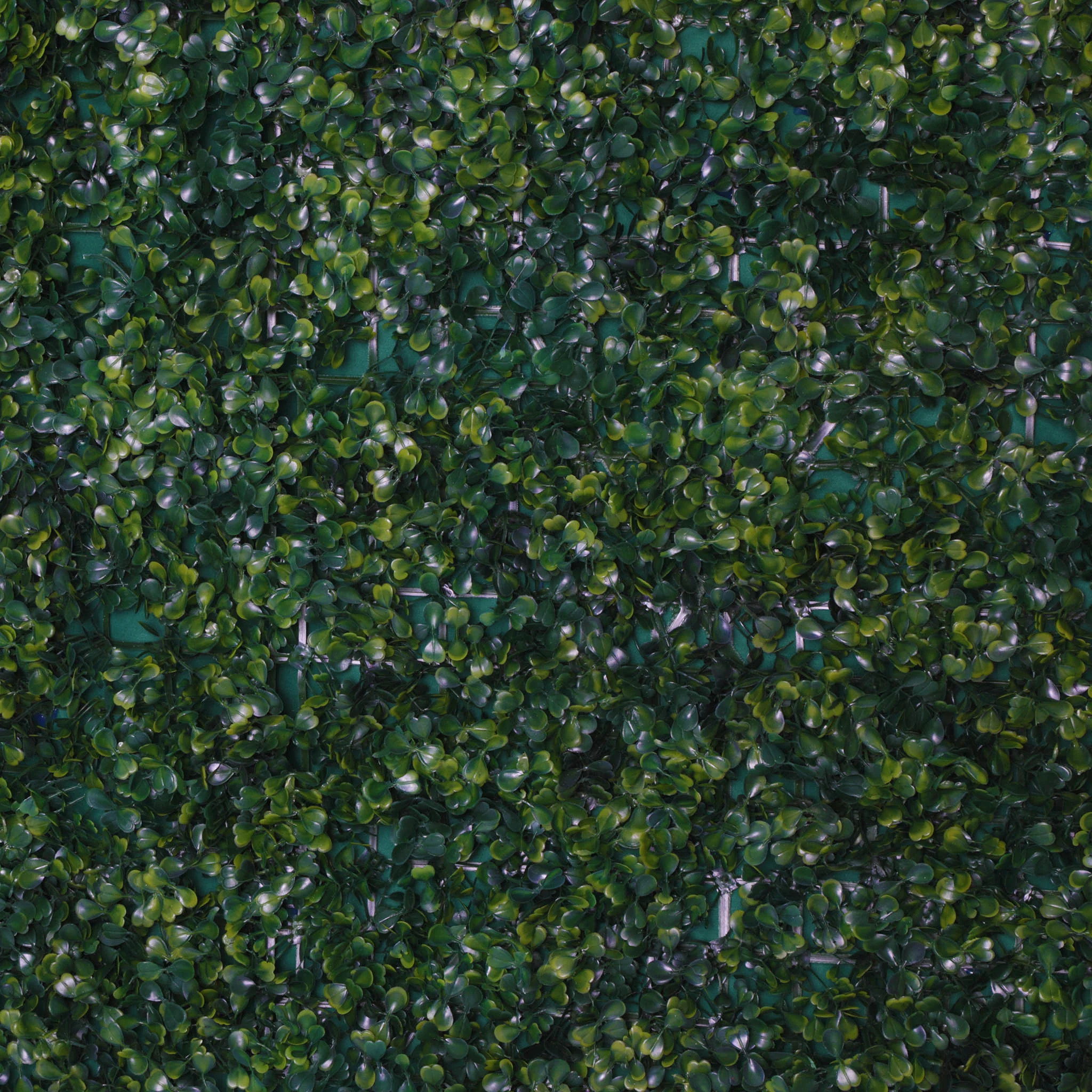Roll Up Boxwood Greenery Wall Backdrop 8ft x 4ft - Image 4