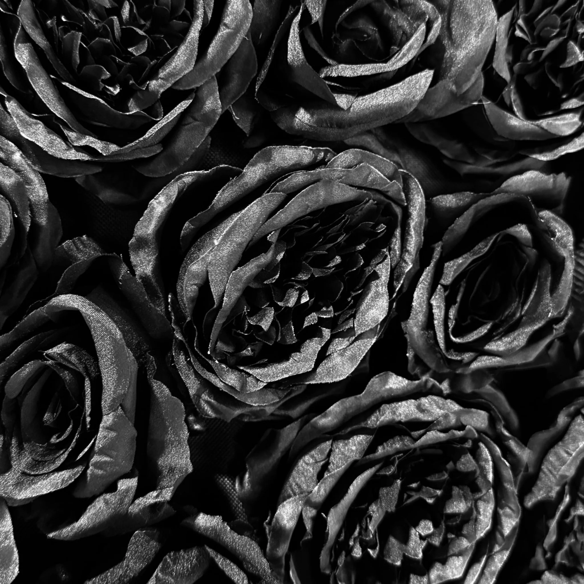 Roll Up Flower Wall Backdrop 8ft x 4ft - Black - Image 4