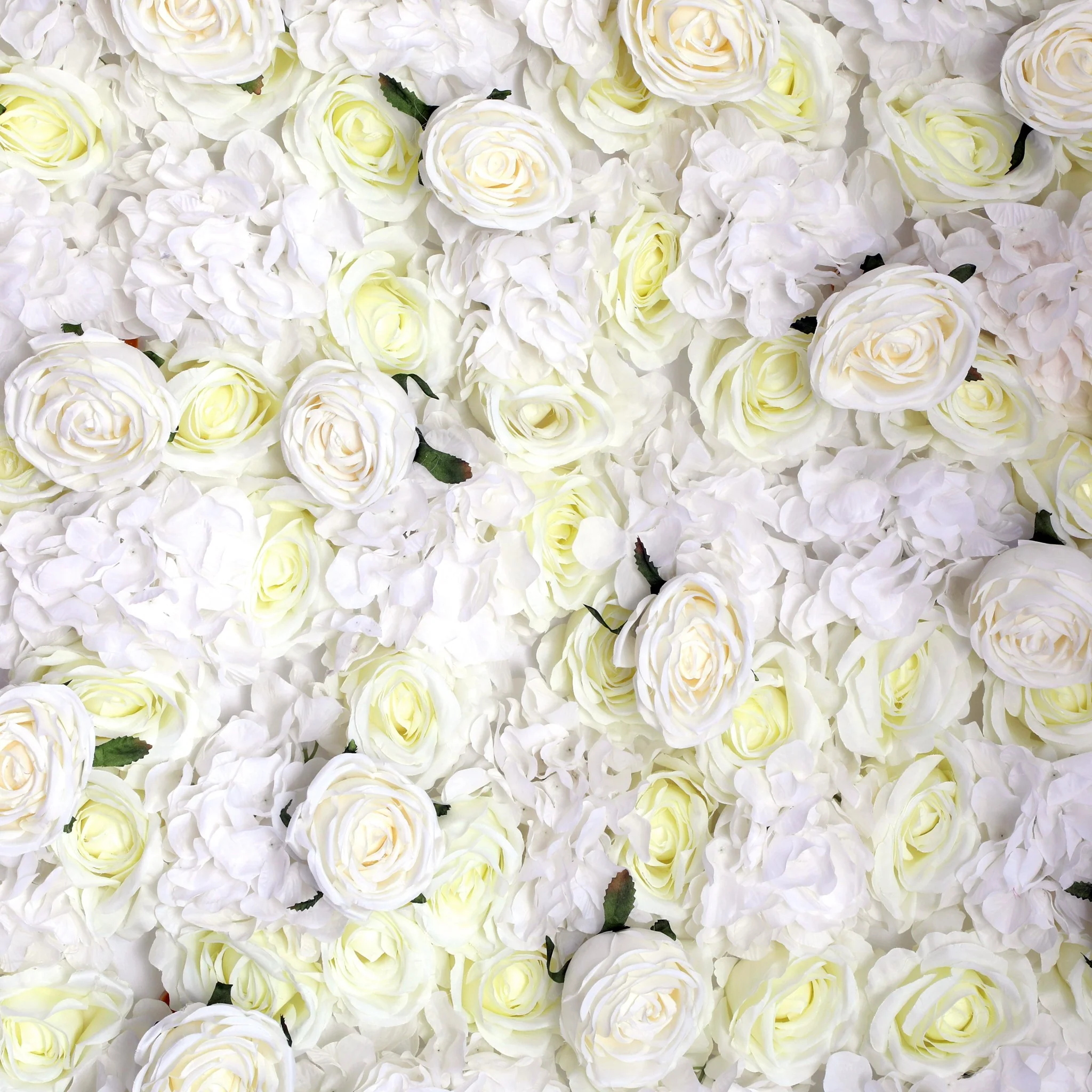 Roll Up Flower Wall Backdrop 8ft x 4ft - Ivory - Image 6
