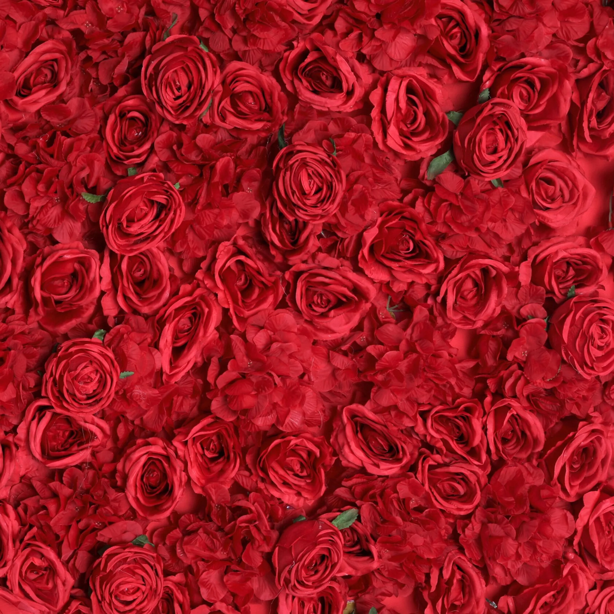 Roll Up Flower Wall Backdrop 8ft x 4ft - Red - Image 6