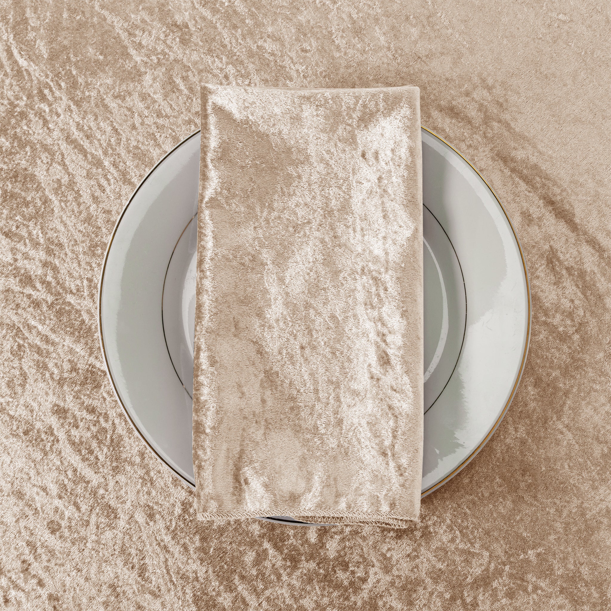 Velvet 20"x20" Linen Napkin - Taupe - Image 4